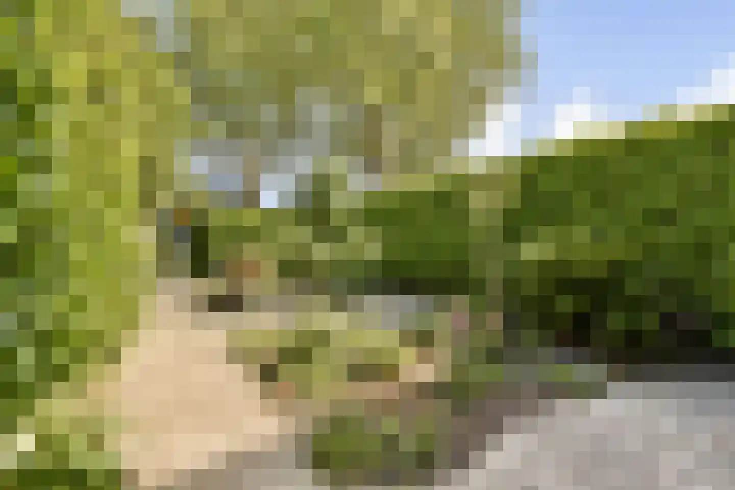 Sloterweg 243 Badhoevedorp thumbnail 30