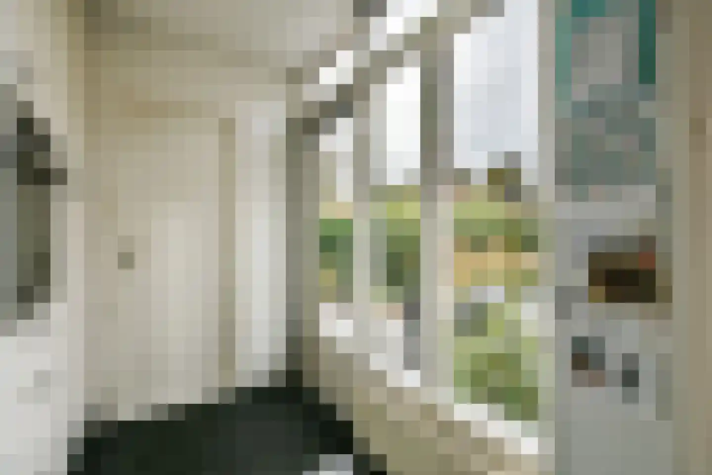 Sloterweg 30 Badhoevedorp thumbnail 11