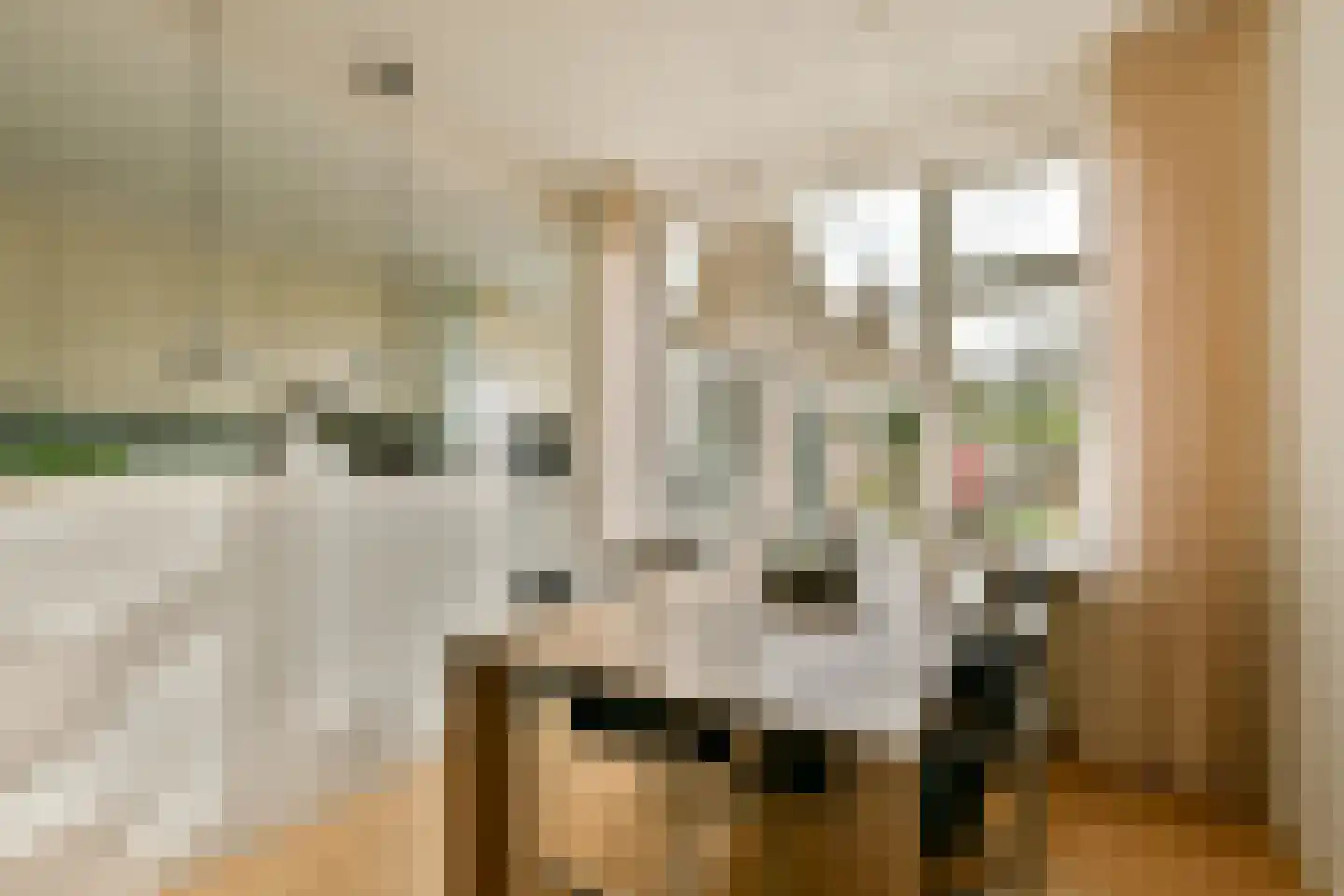 Sloterweg 30 Badhoevedorp thumbnail 5