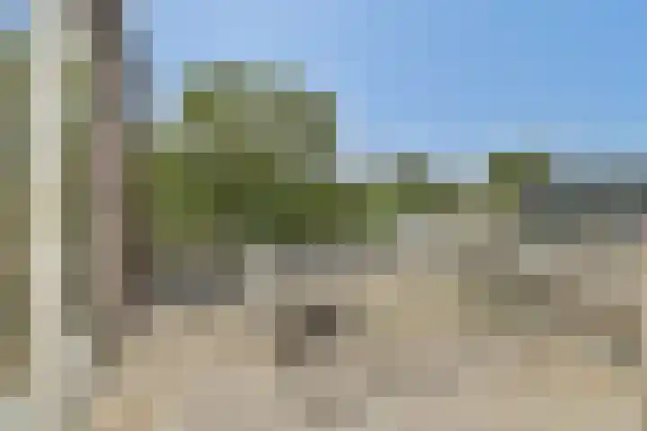Sloterweg 6 Badhoevedorp thumbnail 4