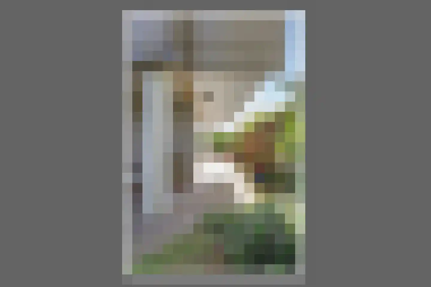 Sloterweg 83 01 Badhoevedorp thumbnail 24