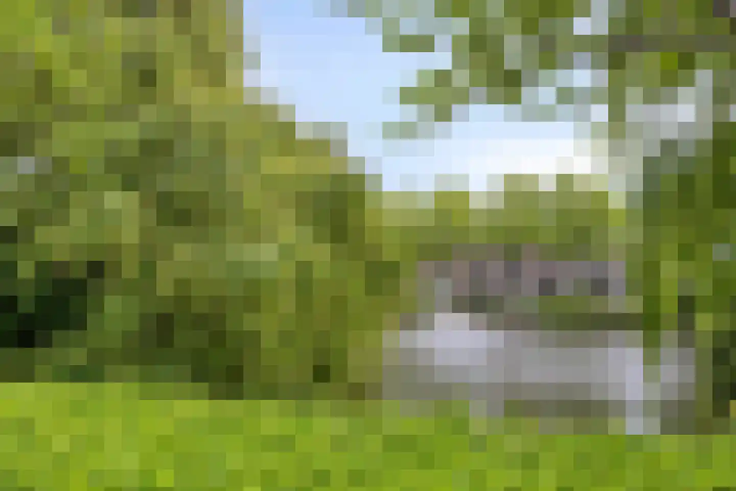 Sloterweg 89 B Badhoevedorp thumbnail 14
