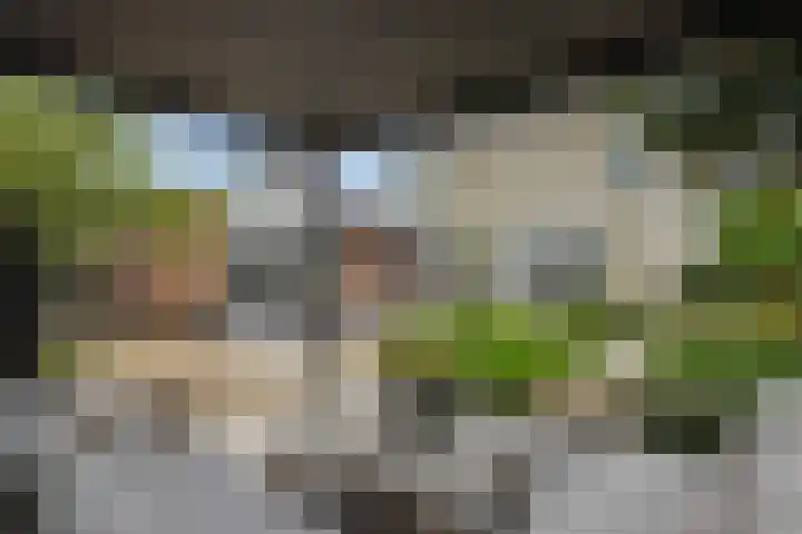 Slotgracht 18 Deurne thumbnail 36