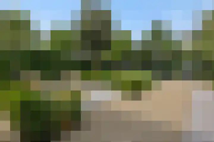 Slotgracht 18 Deurne thumbnail 39
