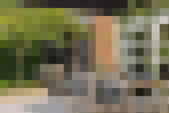 Slotgracht 18 Deurne thumbnail 41