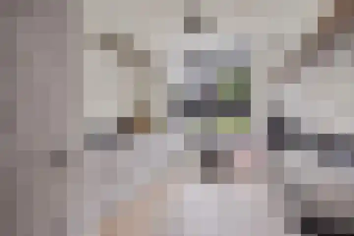 Slotgracht 2 Drunen thumbnail 13