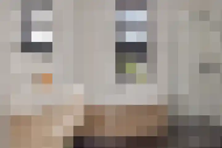 Slotgracht 2 Drunen thumbnail 18