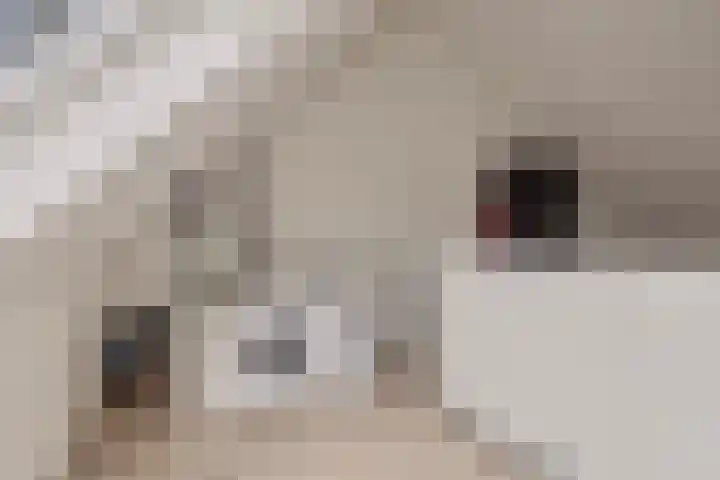 Slotgracht 2 Drunen thumbnail 27
