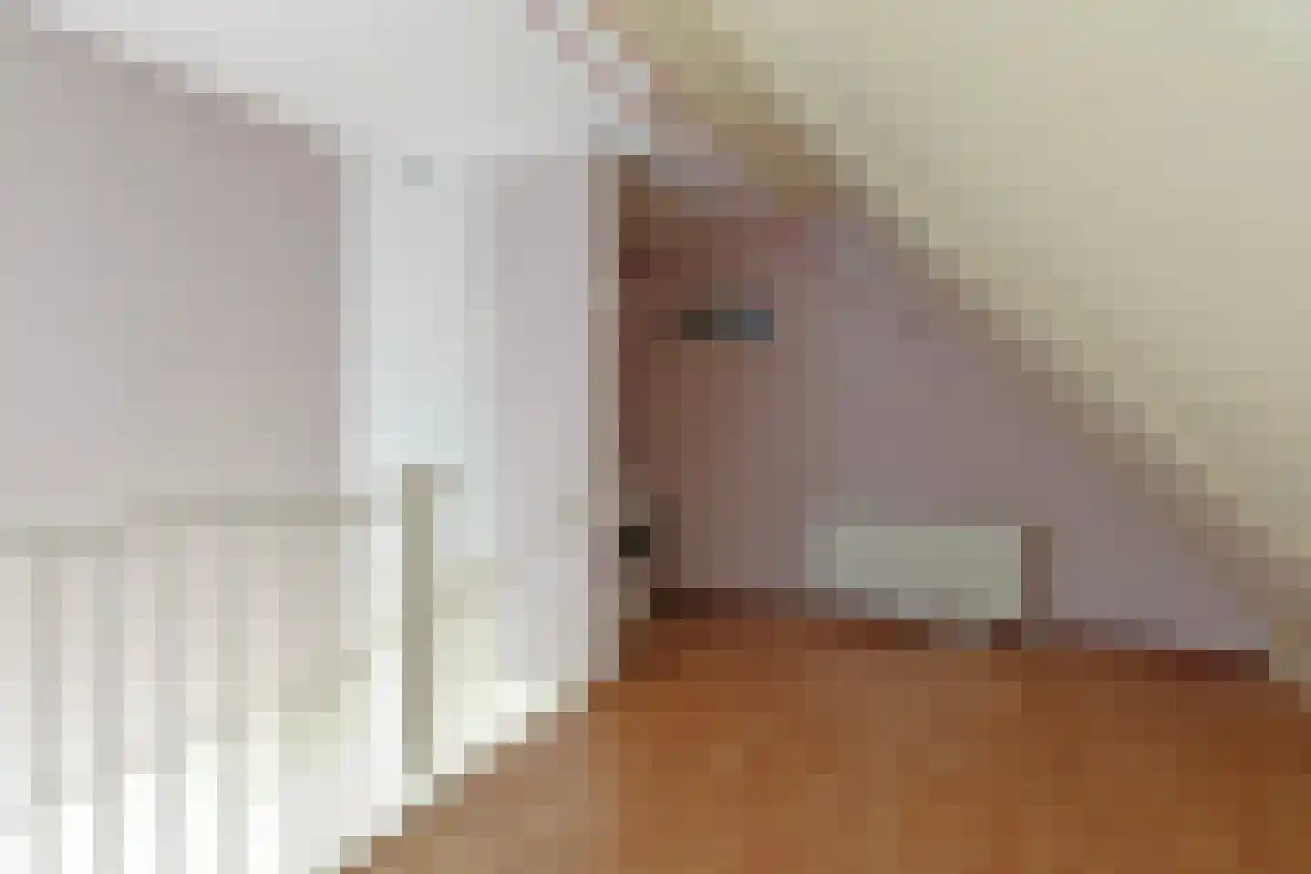 Slotgracht 5 Oss thumbnail 19