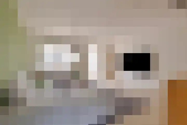 Slotgracht 5 Oss thumbnail 4