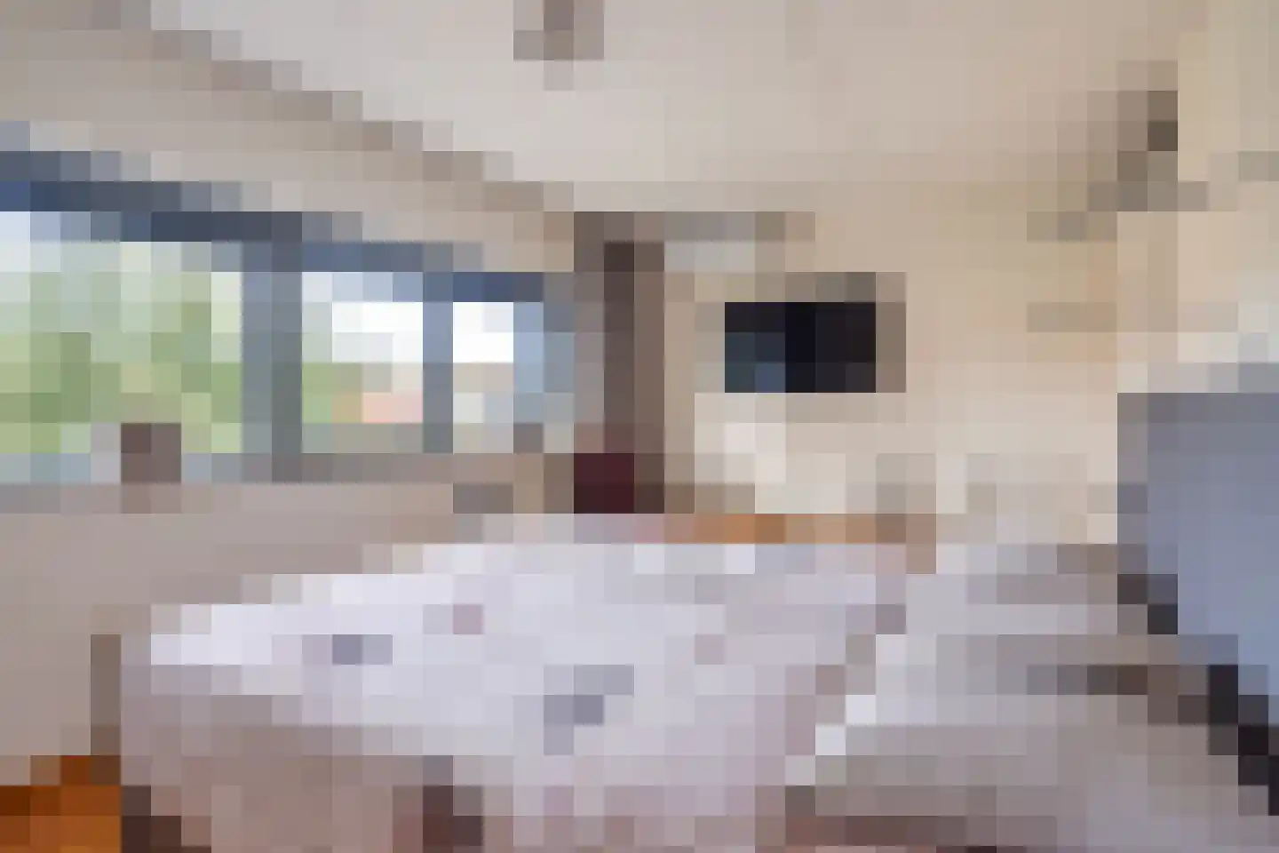 Slotgracht 51 Oss thumbnail 22