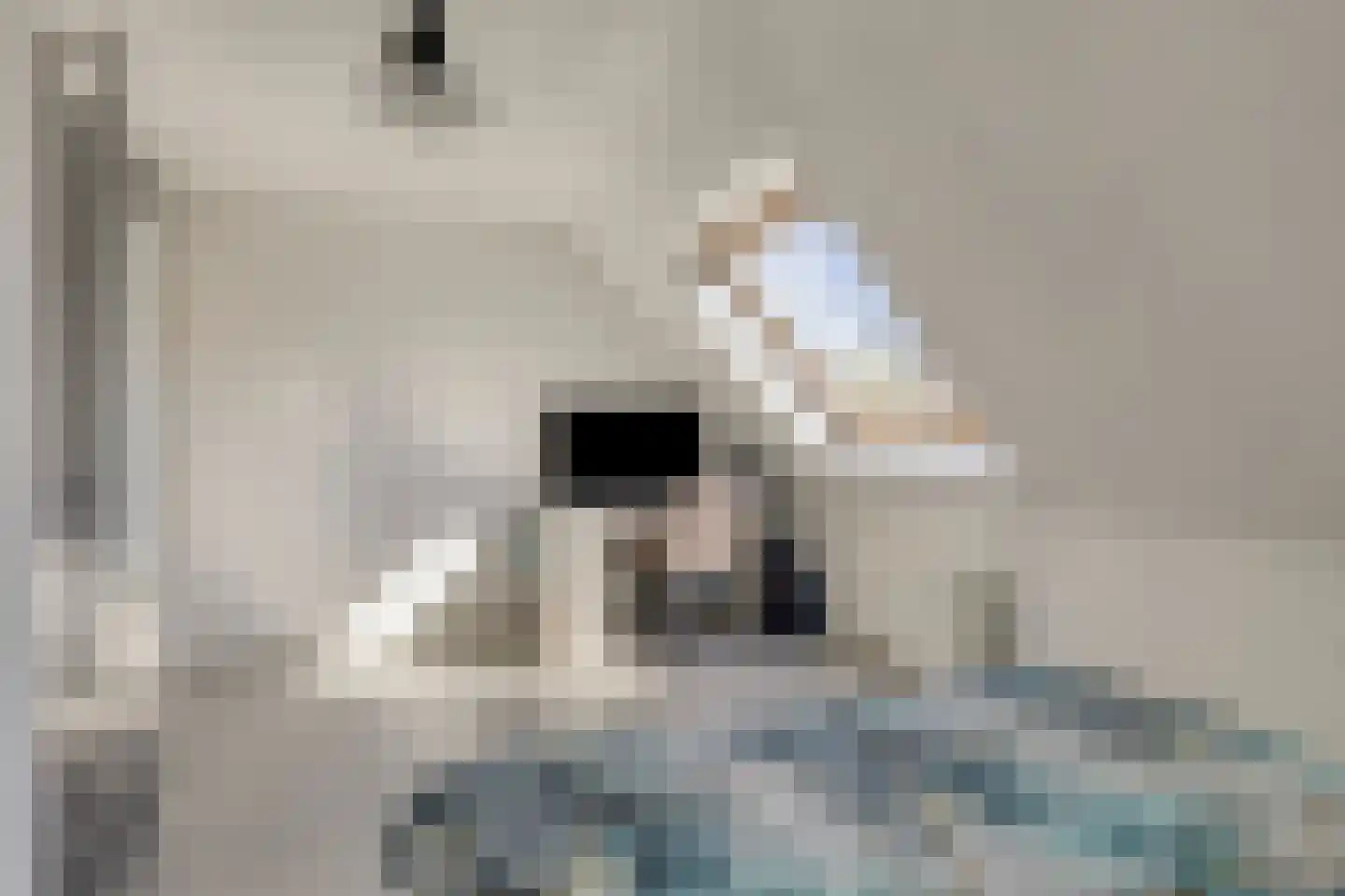 Slotgracht 93 Oss thumbnail 36