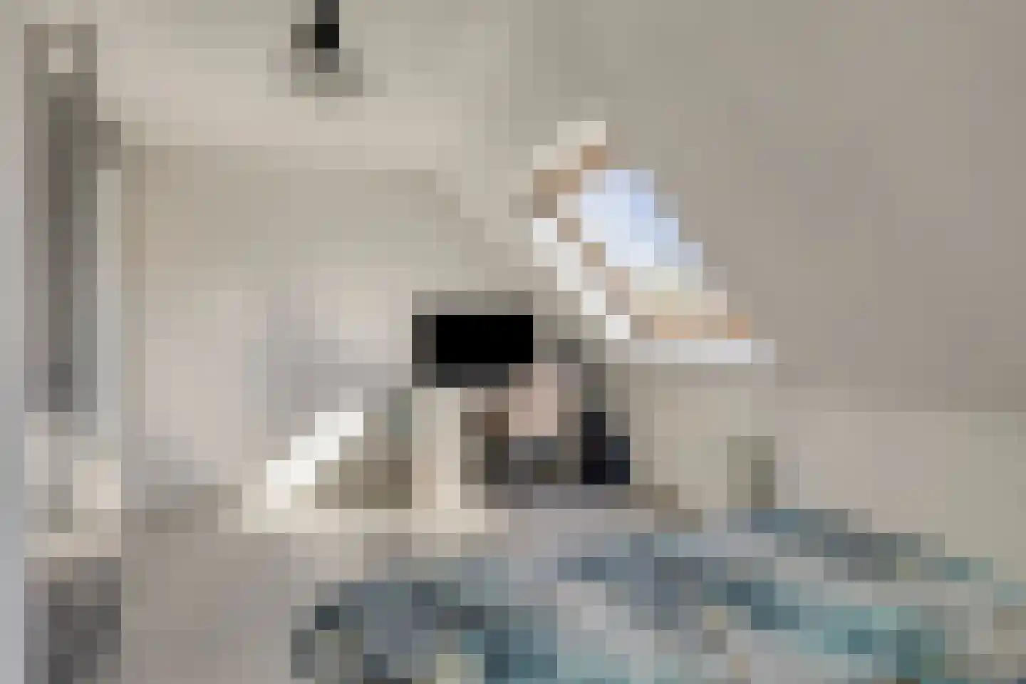 Slotgracht 93 Oss thumbnail 4