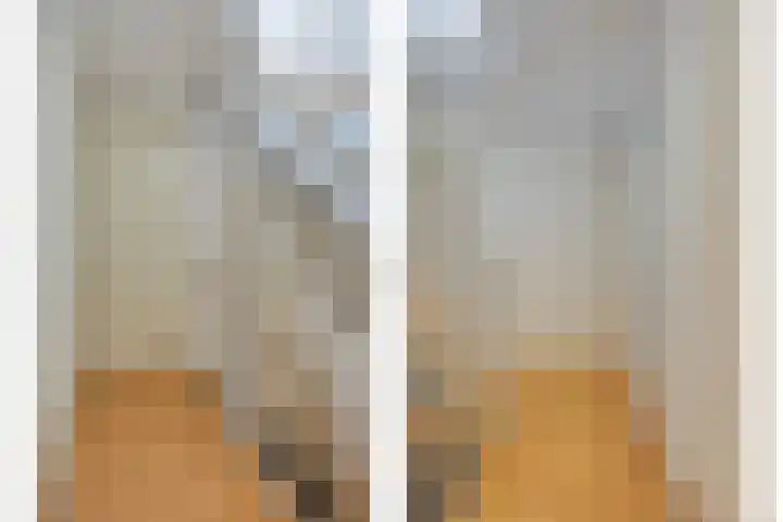 Slotgracht 95 Oss thumbnail 20