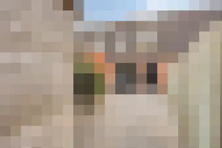 Slotgracht 95 Oss thumbnail 27