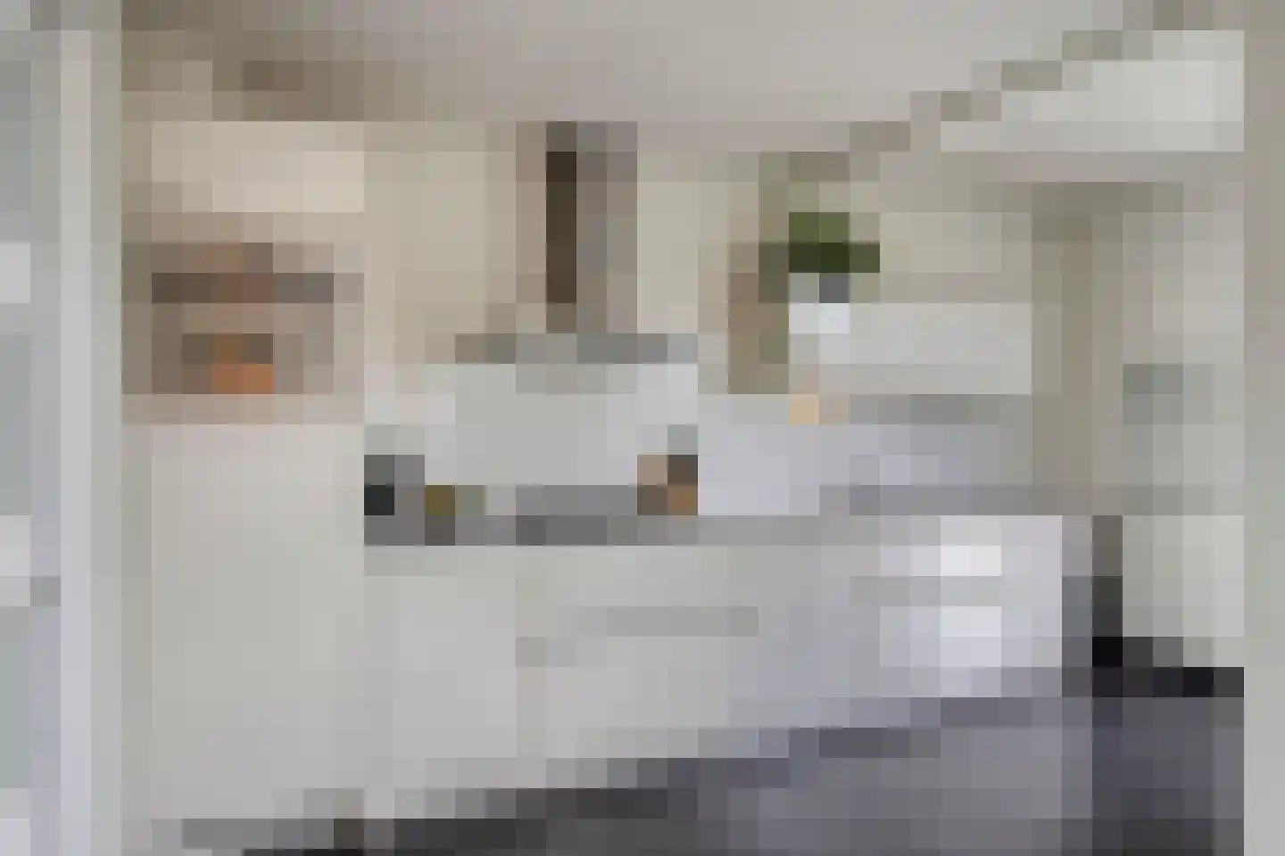 Slotgraskamp 22 Epe thumbnail 12