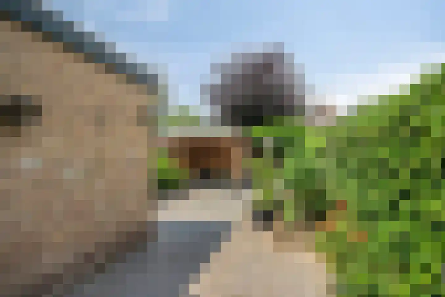 Slotgraskamp 22 Epe thumbnail 27