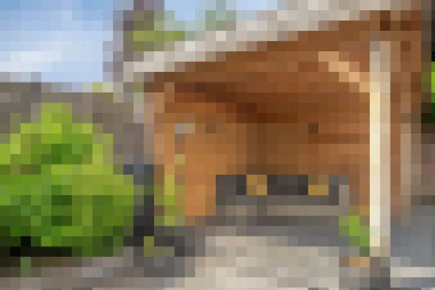 Slotgraskamp 22 Epe thumbnail 30