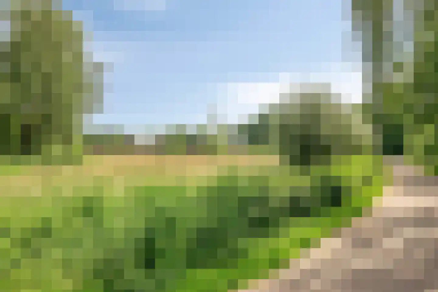 Slotgraskamp 22 Epe thumbnail 37