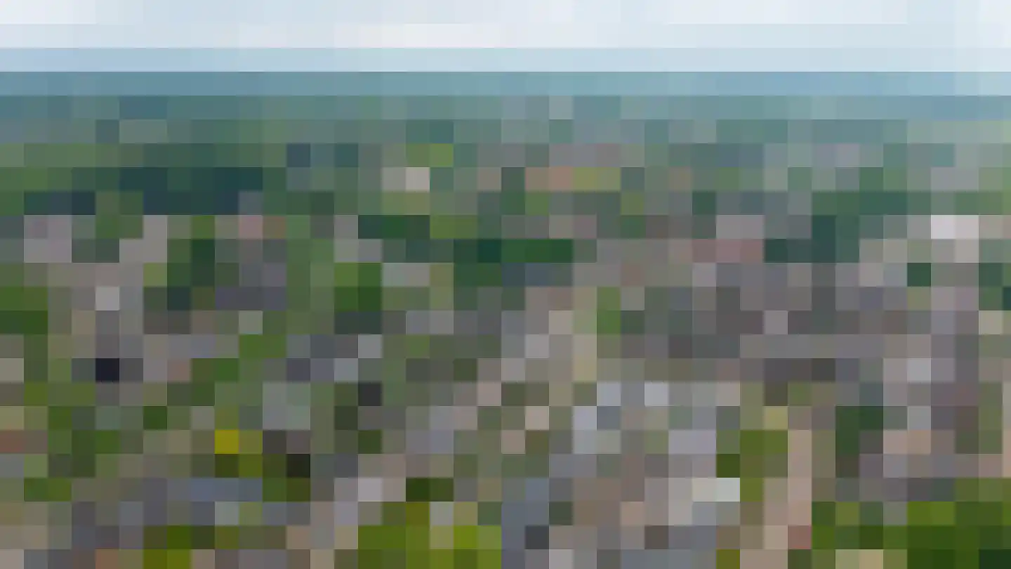 Slotgraskamp 22 Epe thumbnail 4