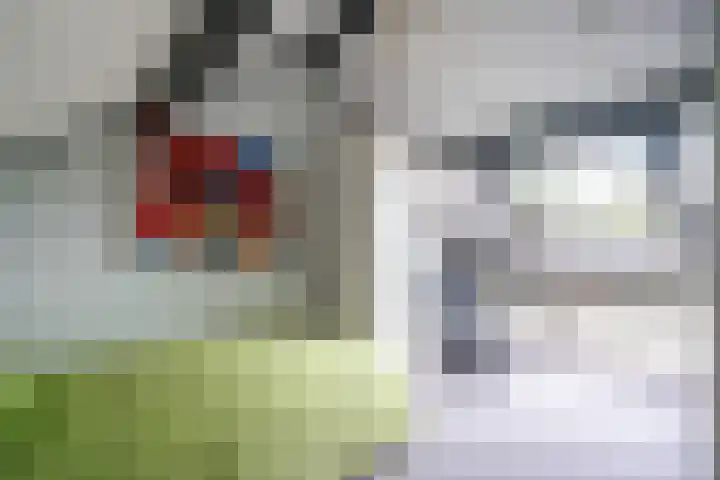 Slotgraskamp 45 Epe thumbnail 21