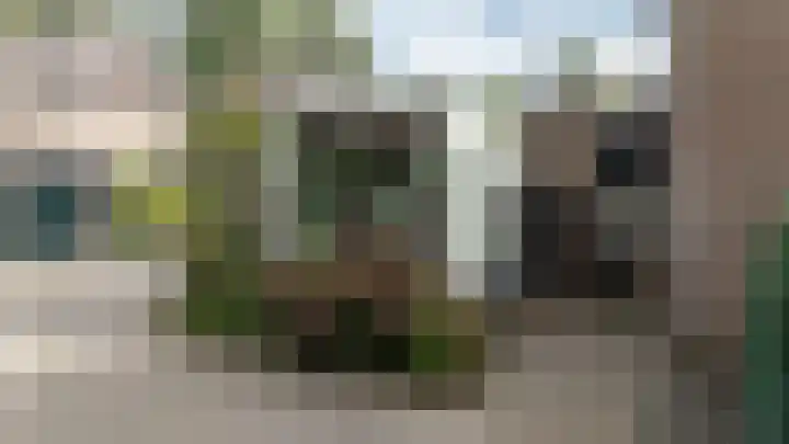 Slotgraskamp 45 Epe thumbnail 24