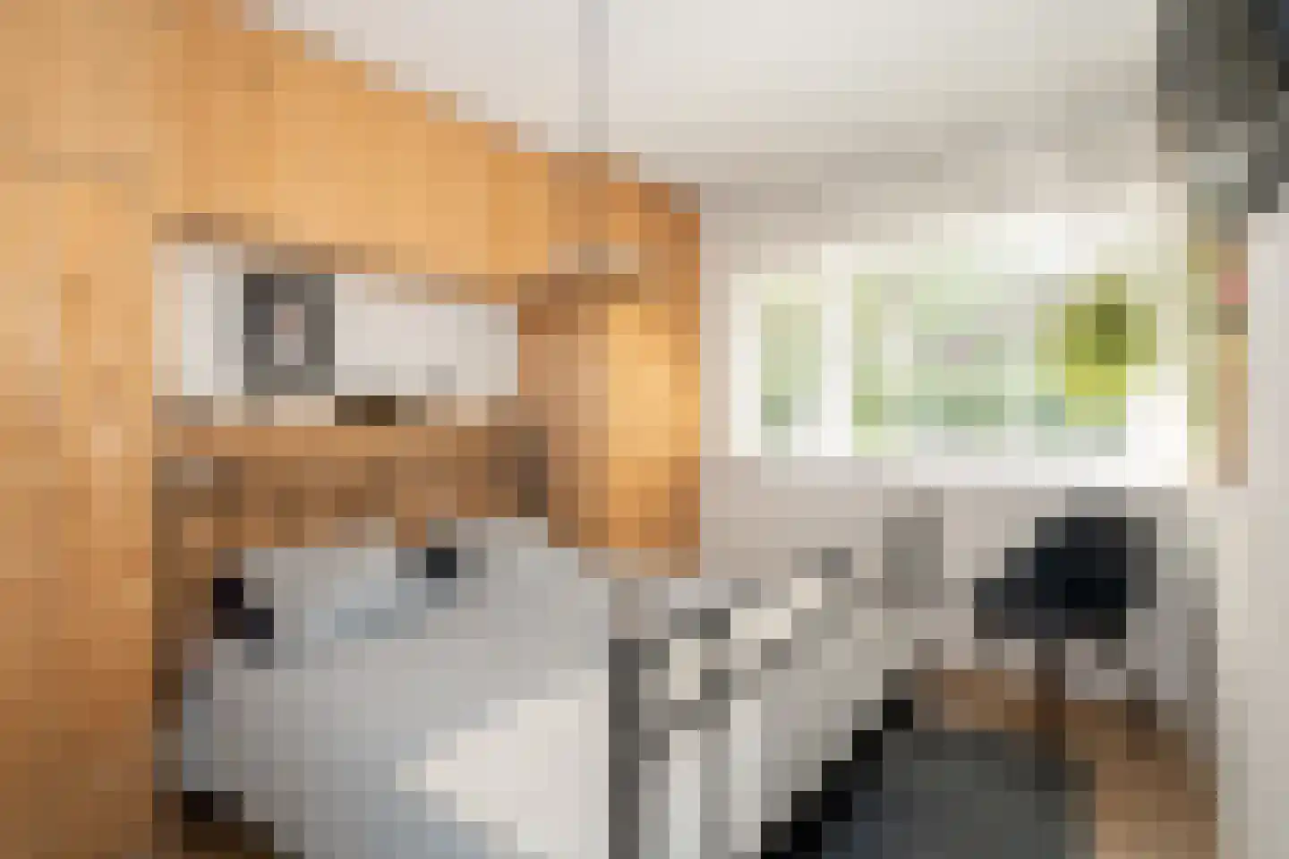 Slotgraskamp 48 Epe thumbnail 19