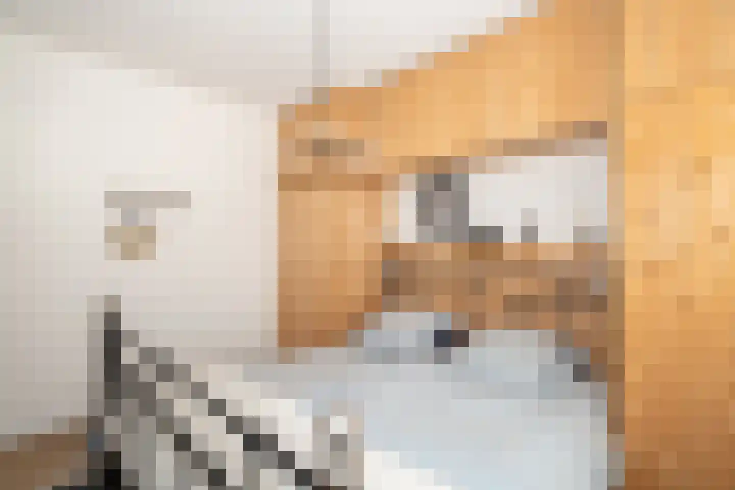Slotgraskamp 48 Epe thumbnail 20