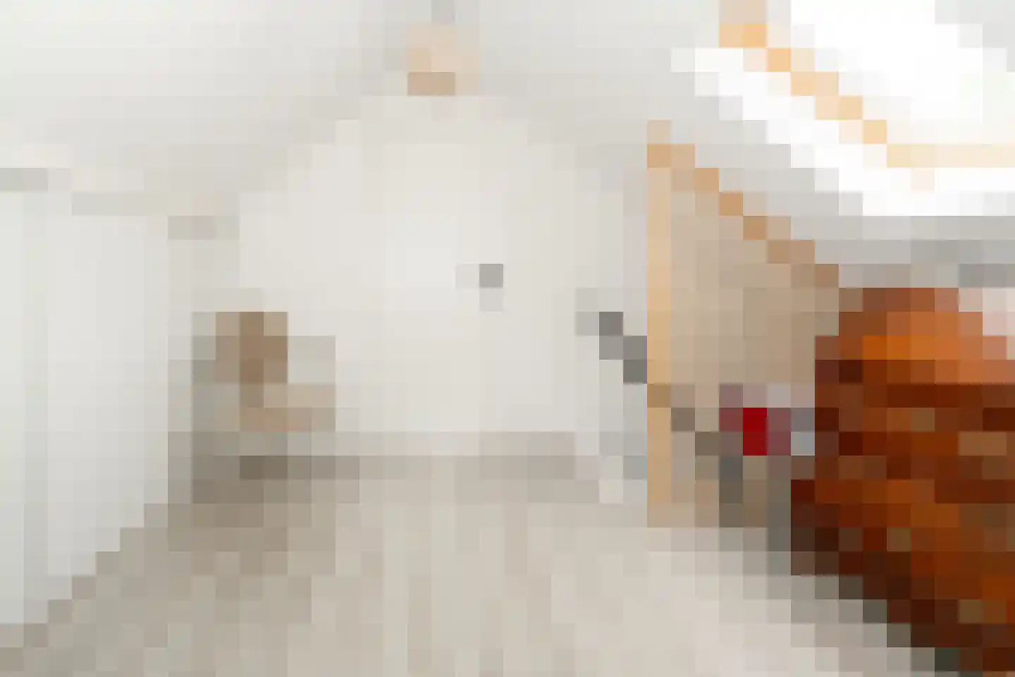 Slotgraskamp 48 Epe thumbnail 24