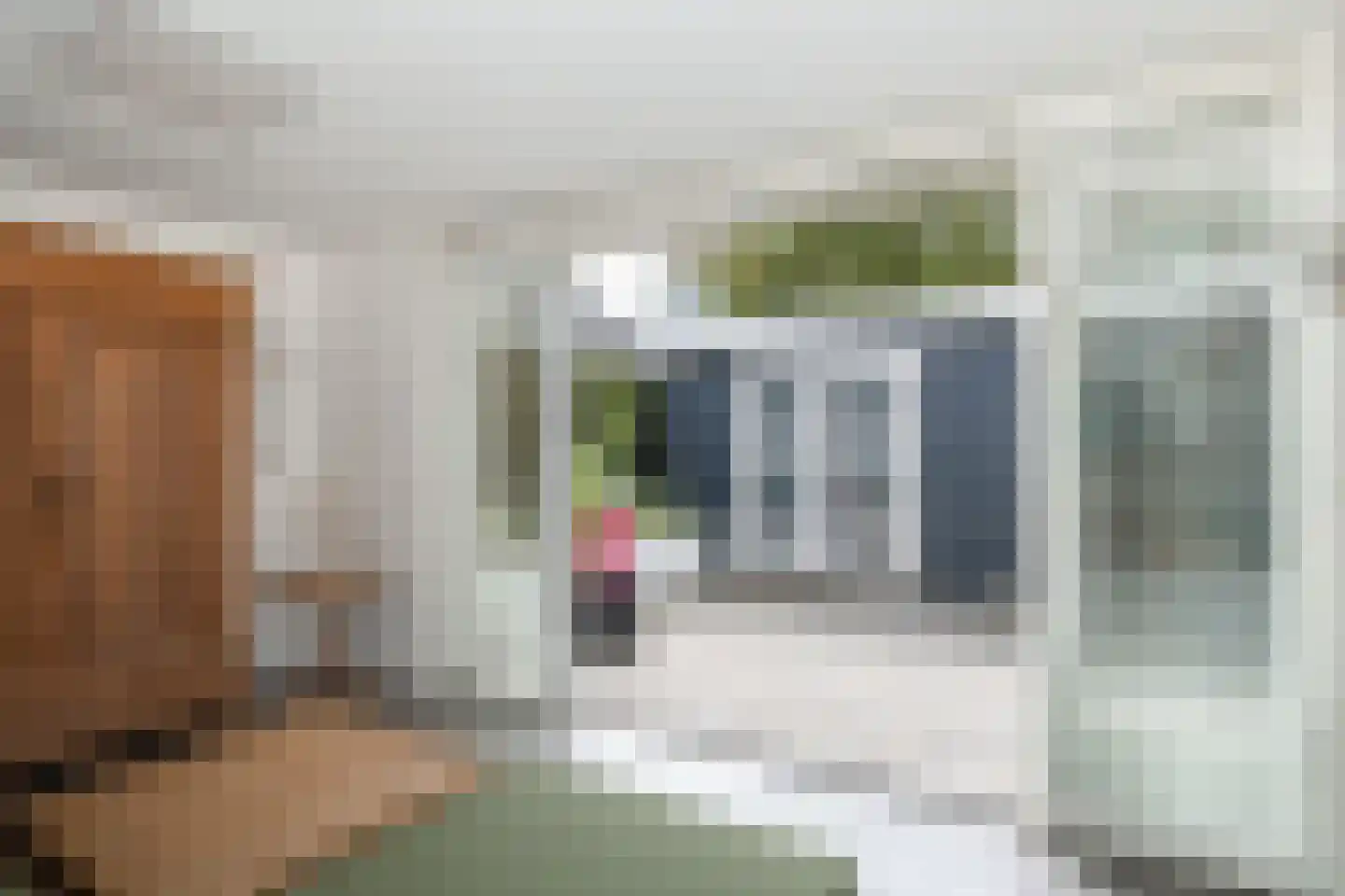 Slotgraskamp 48 Epe thumbnail 35