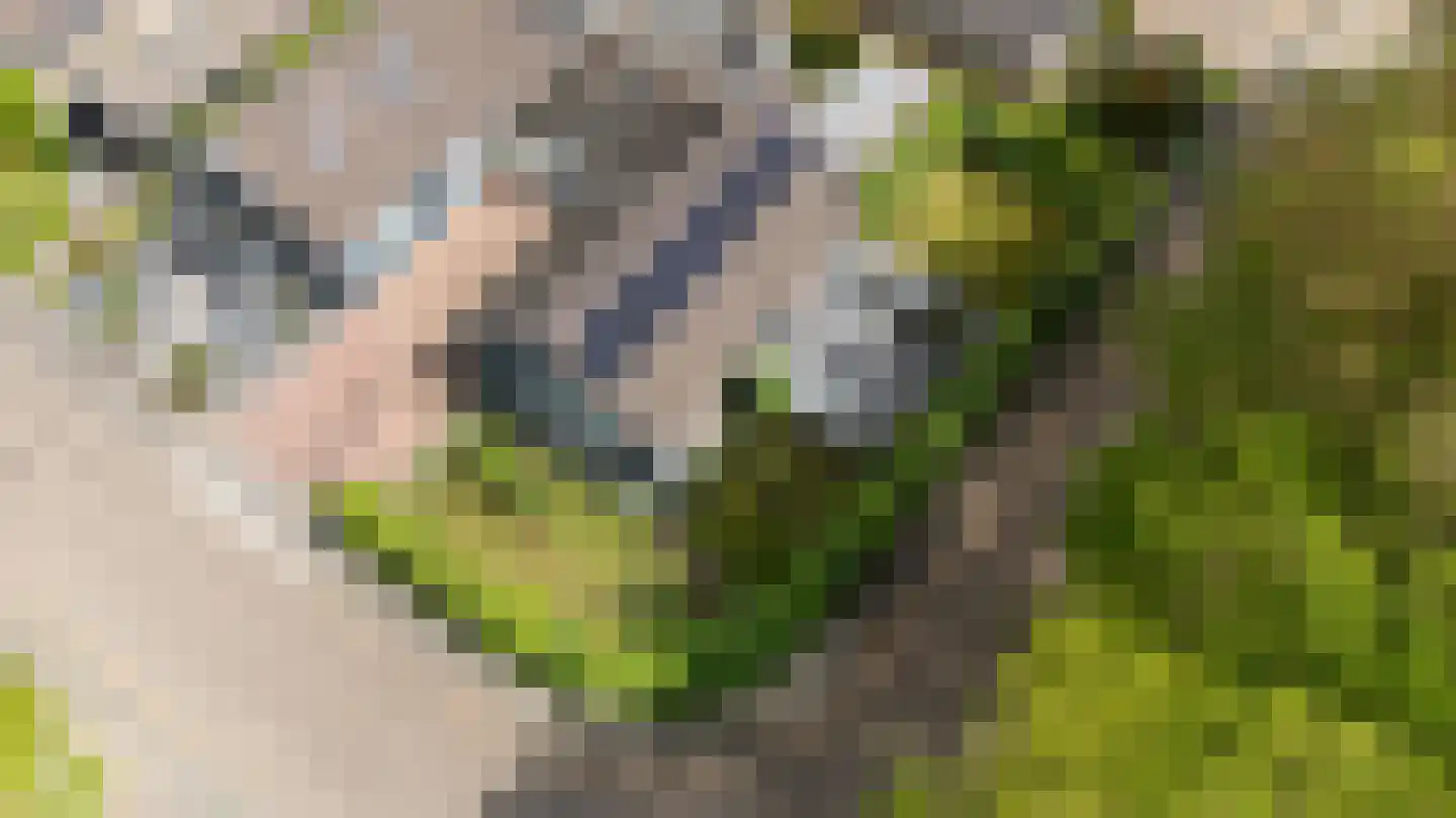 Slotgraskamp 48 Epe thumbnail 6