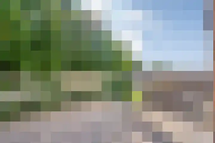 Slotgraven 10 Hardenberg thumbnail 28