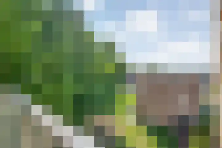 Slotgraven 10 Hardenberg thumbnail 29