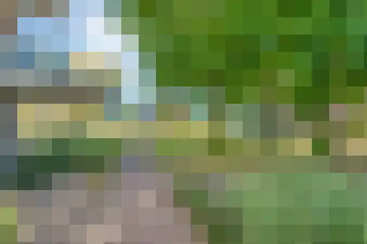 Slotgraven 10 Hardenberg thumbnail 43