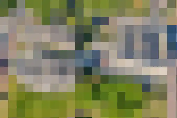 Slotgraven 10 Hardenberg thumbnail 46