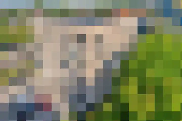 Slotgraven 10 Hardenberg thumbnail 5