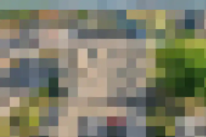 Slotgraven 10 Hardenberg thumbnail 6