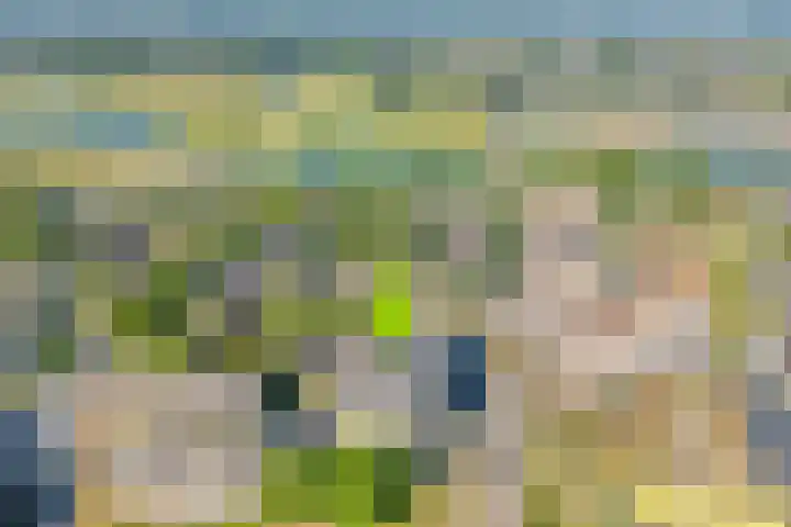 Slotgraven 10 Hardenberg thumbnail 7