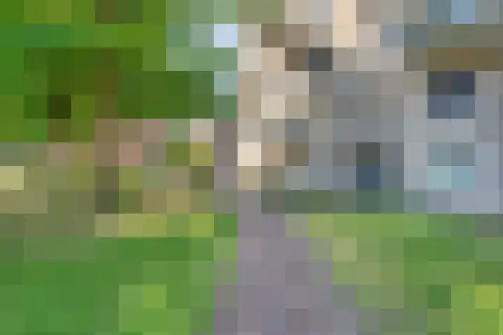 Slotgraven 10 Hardenberg thumbnail 9