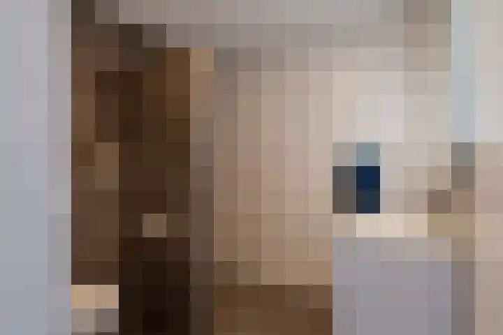 Slotgraven 7 Hardenberg thumbnail 18