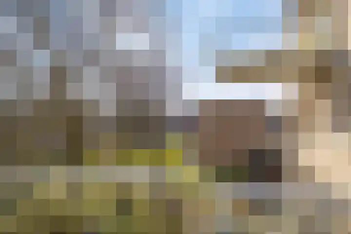 Slotgraven 7 Hardenberg thumbnail 23