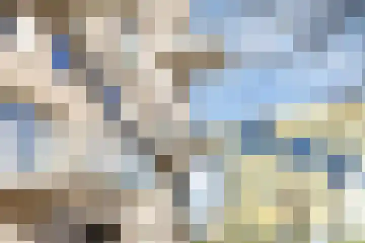 Slotgraven 7 Hardenberg thumbnail 24