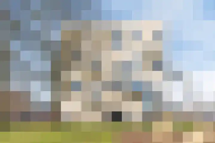 Slotgraven 7 Hardenberg thumbnail 31