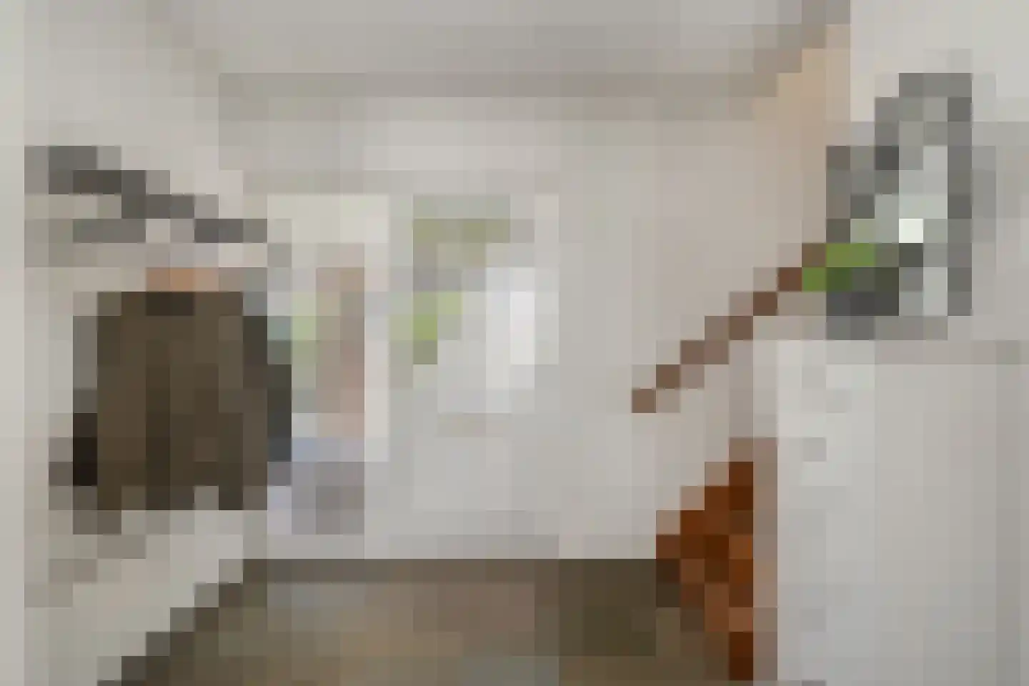 Slothoef 26 Gemonde thumbnail 13