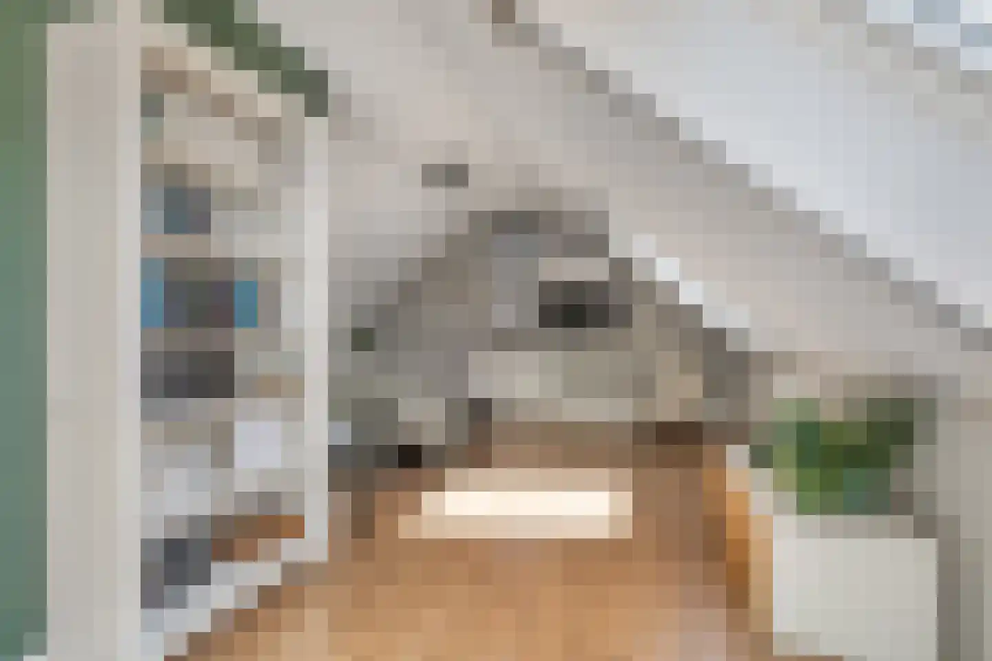 Slothoef 26 Gemonde thumbnail 16