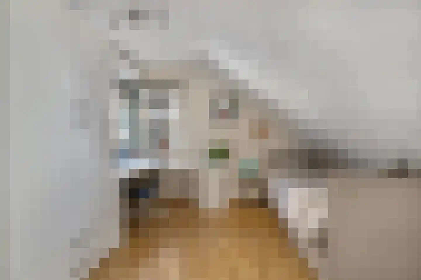 Slothoef 26 Gemonde thumbnail 17