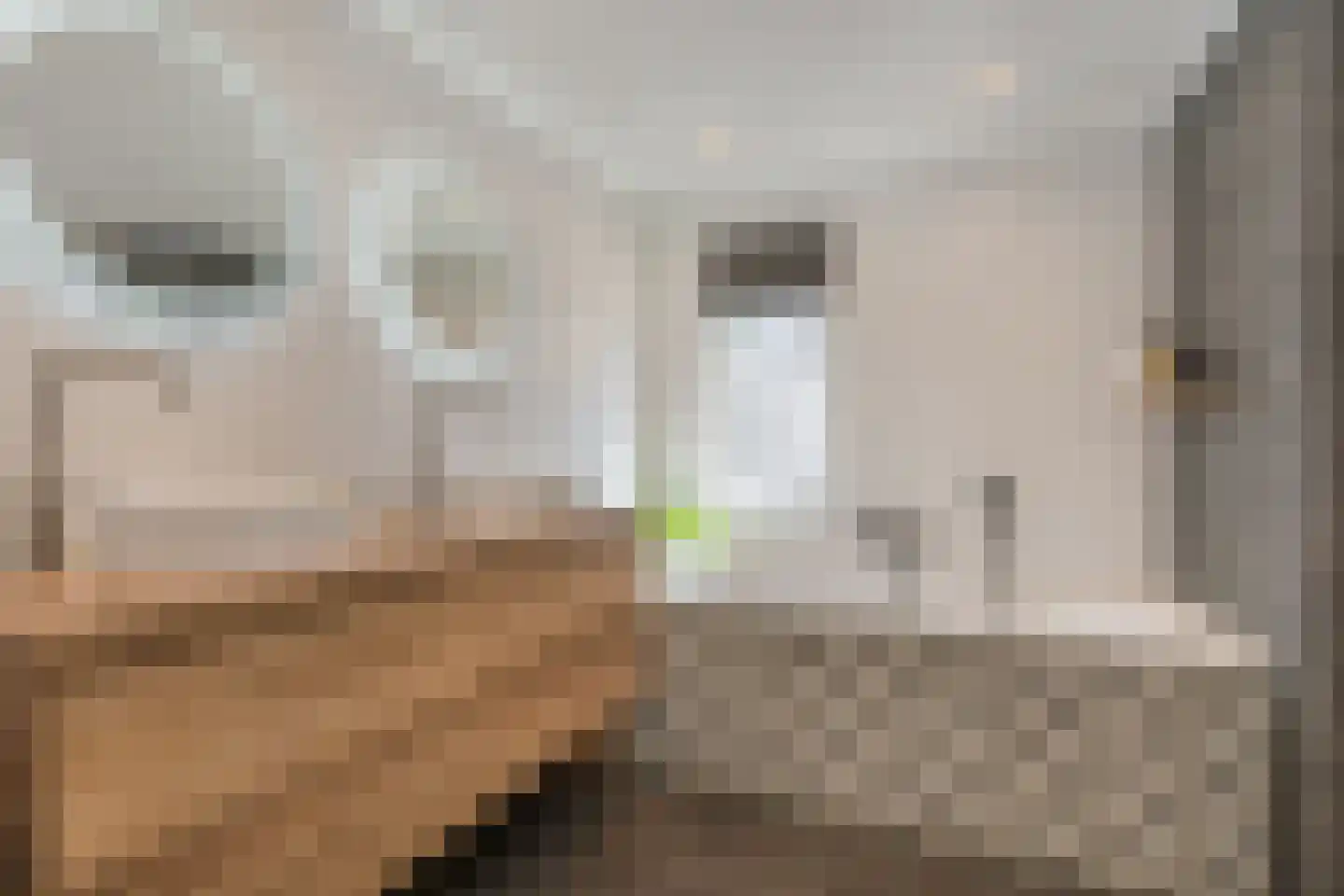 Slothoef 26 Gemonde thumbnail 21