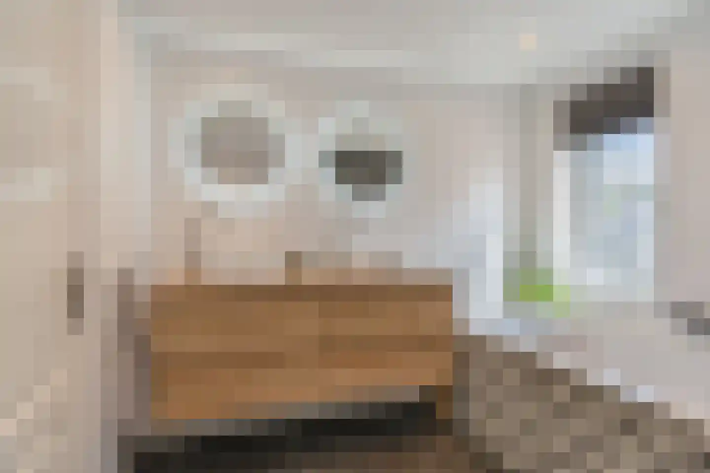 Slothoef 26 Gemonde thumbnail 23