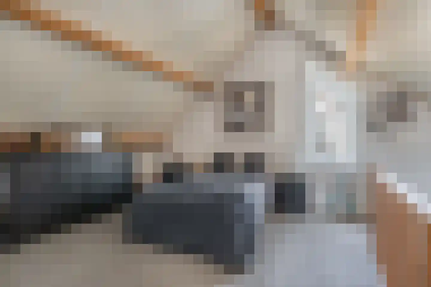 Slothoef 26 Gemonde thumbnail 24