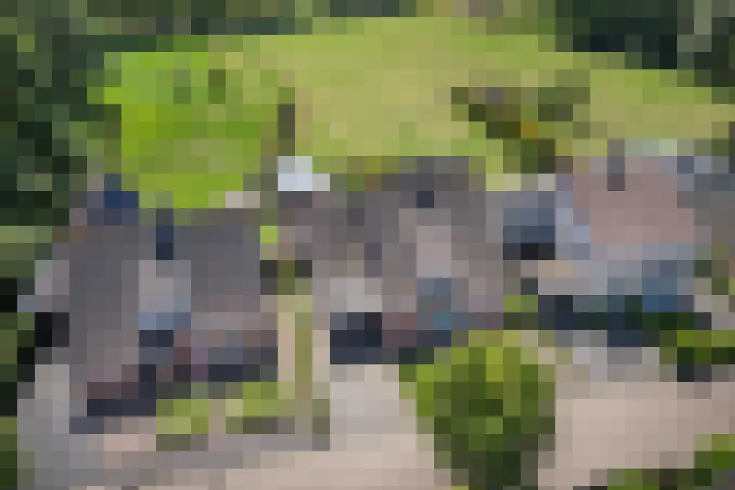 Slothoef 26 Gemonde thumbnail 36